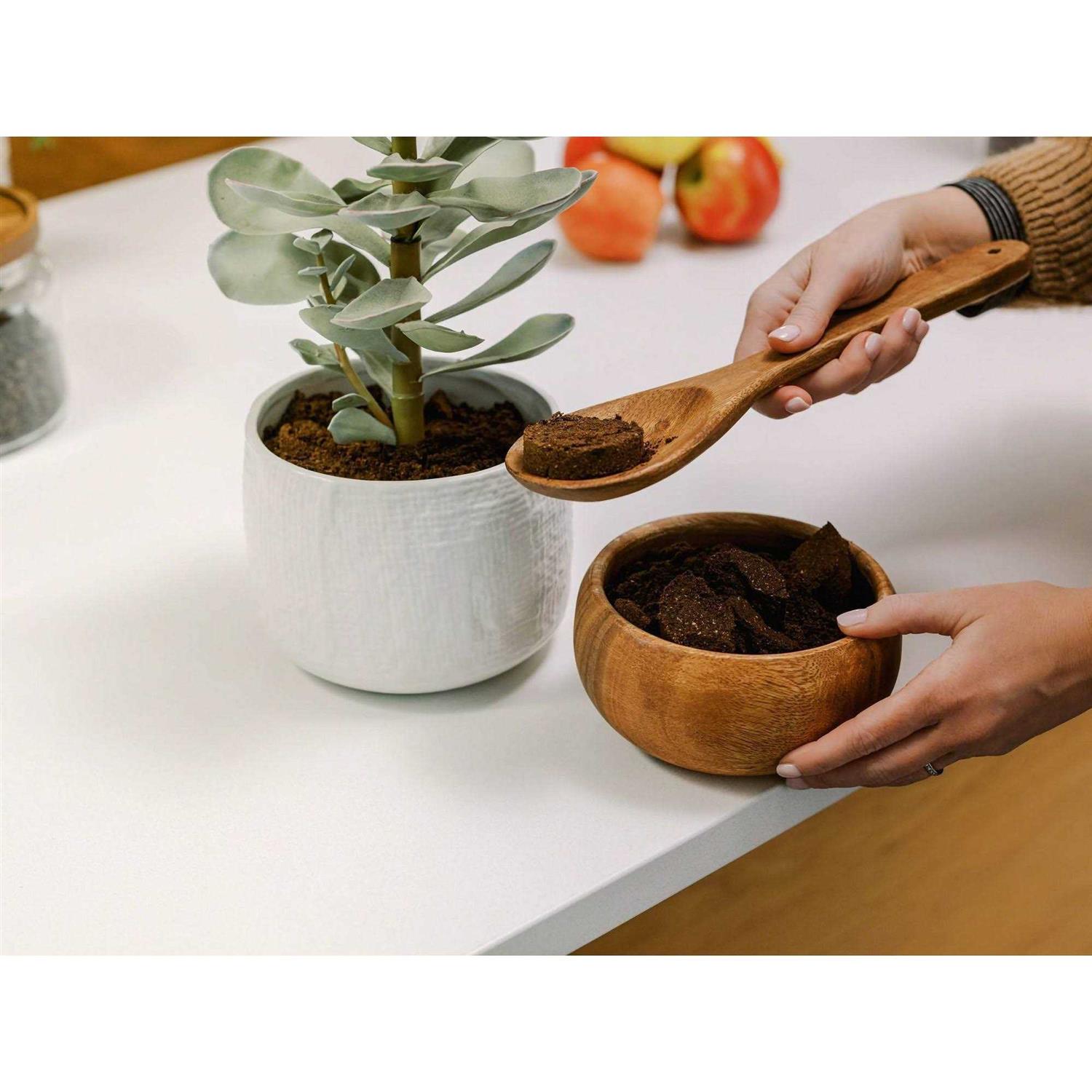 De'Longhi TrueBrew Automatic Coffee Maker with Bean Extract Technology - Image 5