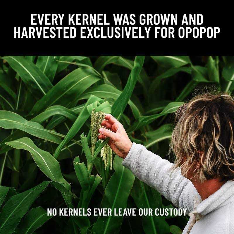 Opopop Gourmet Popcorn Variety Microwave Popcorn Kit - Image 5