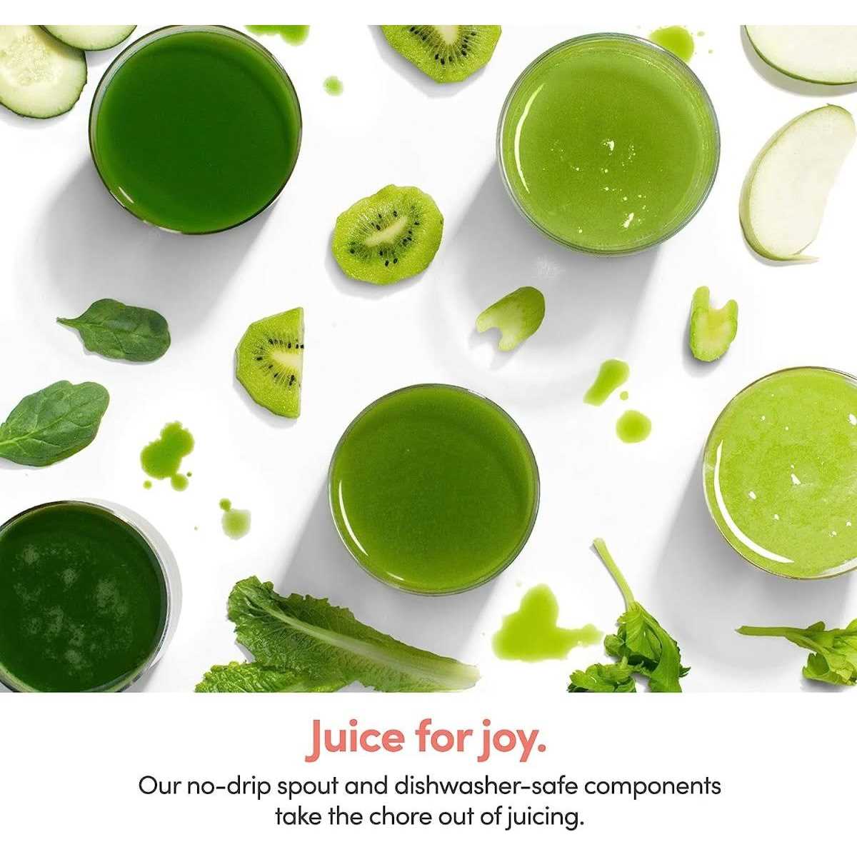 Nutribullet Slow Juicer - Image 5