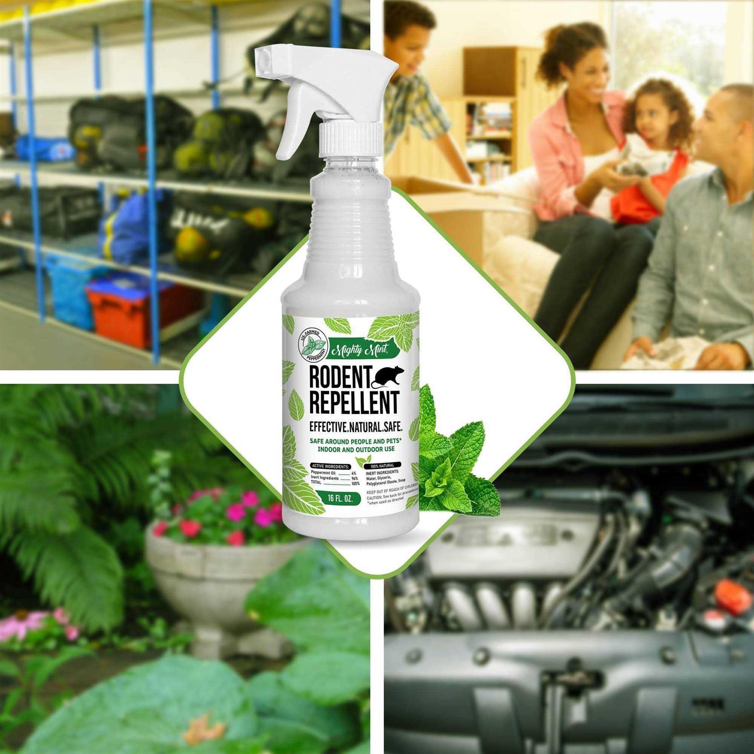 Mighty Mint Rodent Repellent RS-15 - Image 2