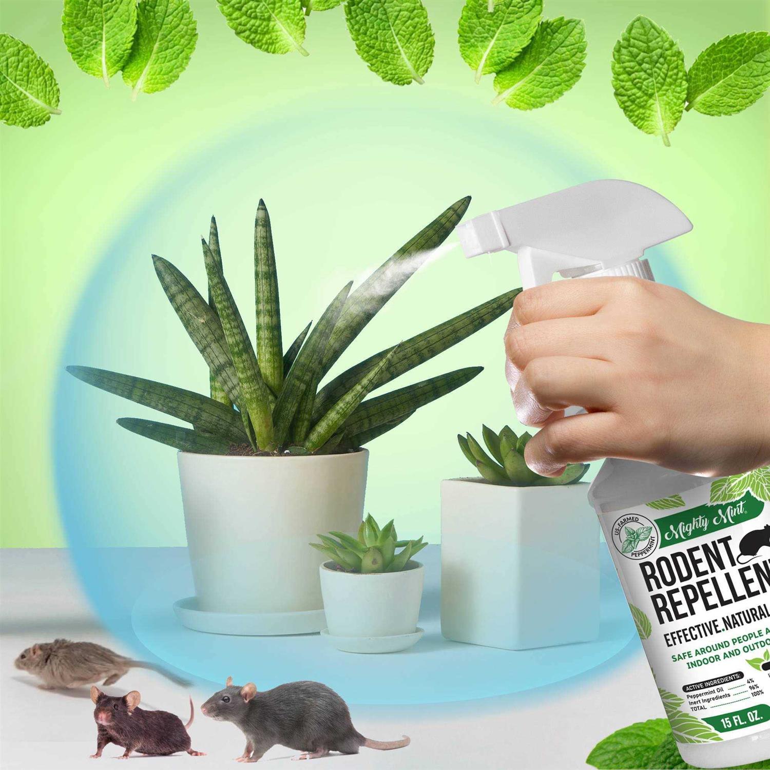 Mighty Mint Rodent Repellent RS-15 - Image 3