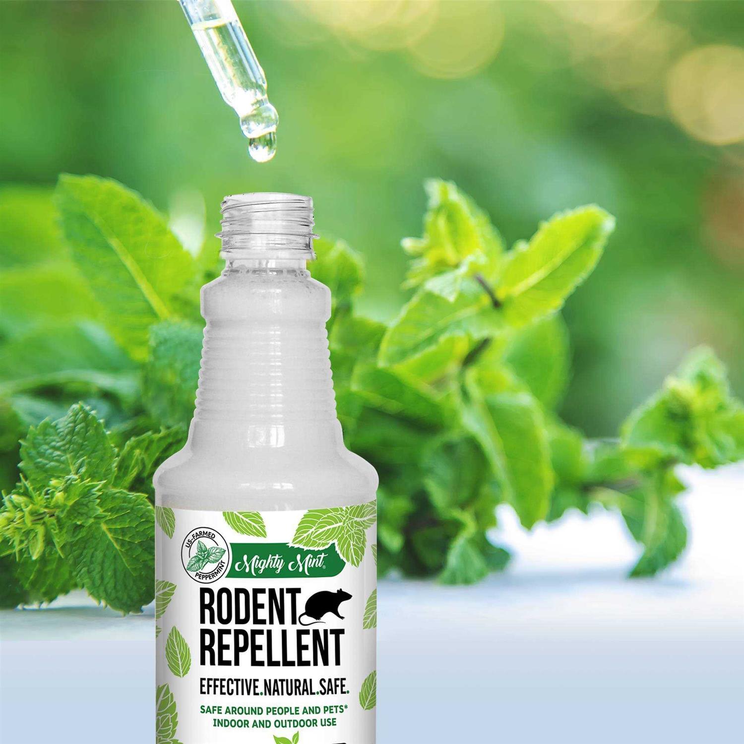 Mighty Mint Rodent Repellent RS-15 - Image 4
