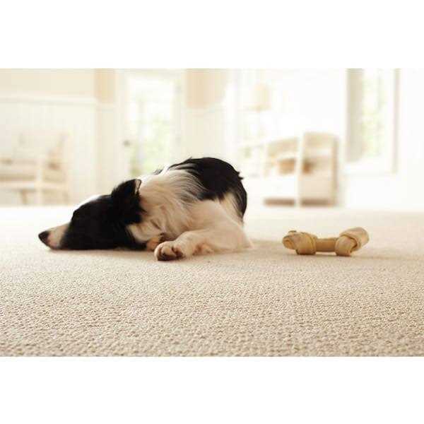 Lifeproof 6 ft. x Waterproof 5/16 in. Thickness Carpet Cushion/Area Dual Surface Non-Slip Rug Pad - Image 2