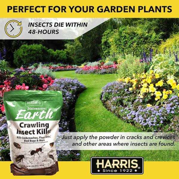Harris Diatomaceous Earth Crawling Insect Killer - Image 2