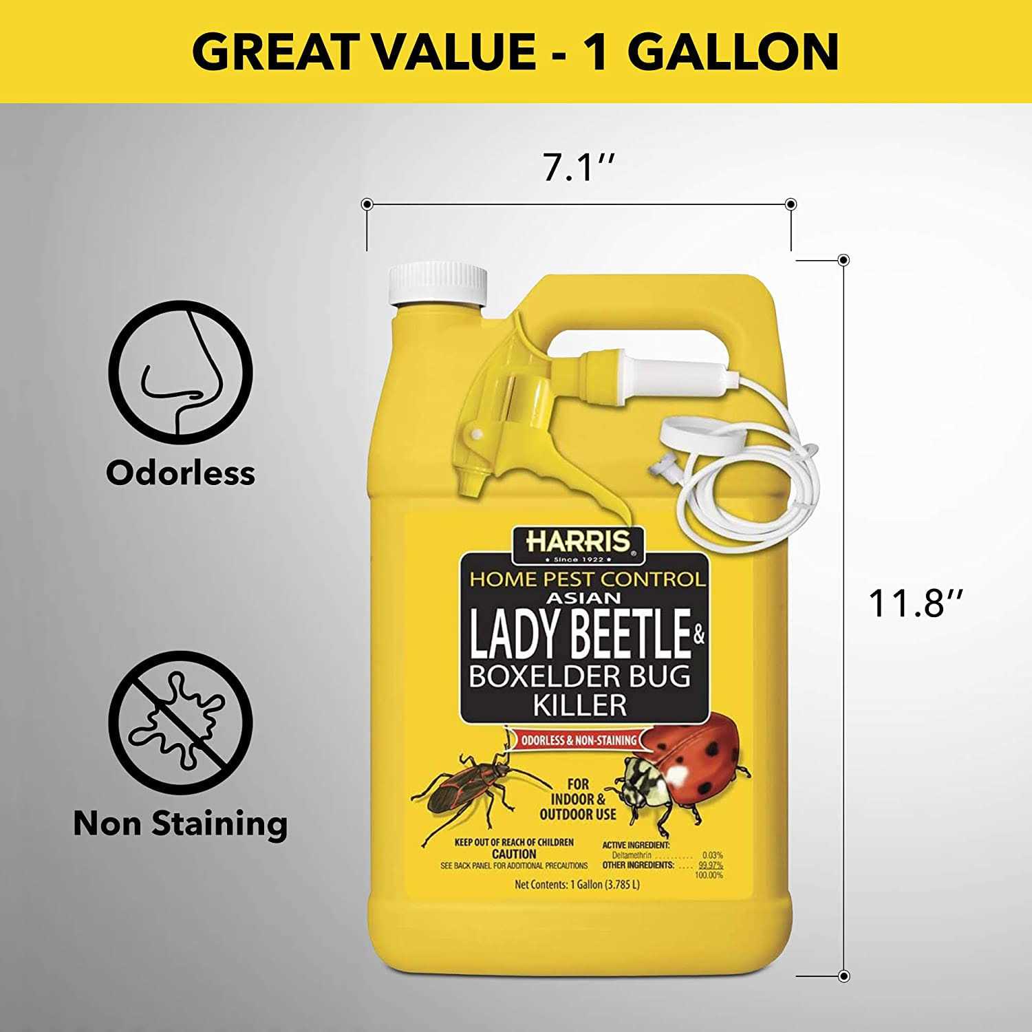 Harris Asian Lady Beetle & Box Elder Bug Killer - Image 5