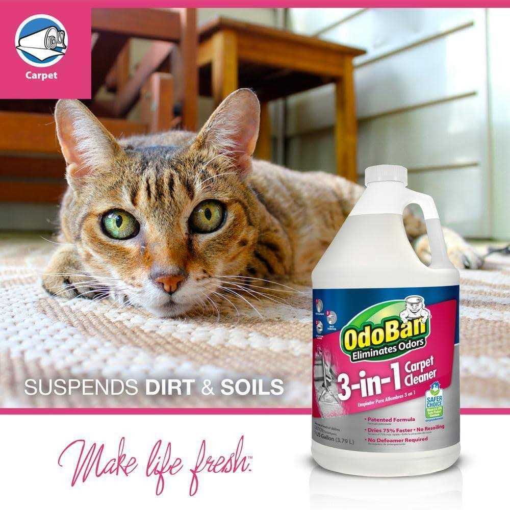 OdoBan 3-in-1 Carpet Cleaner - Image 4