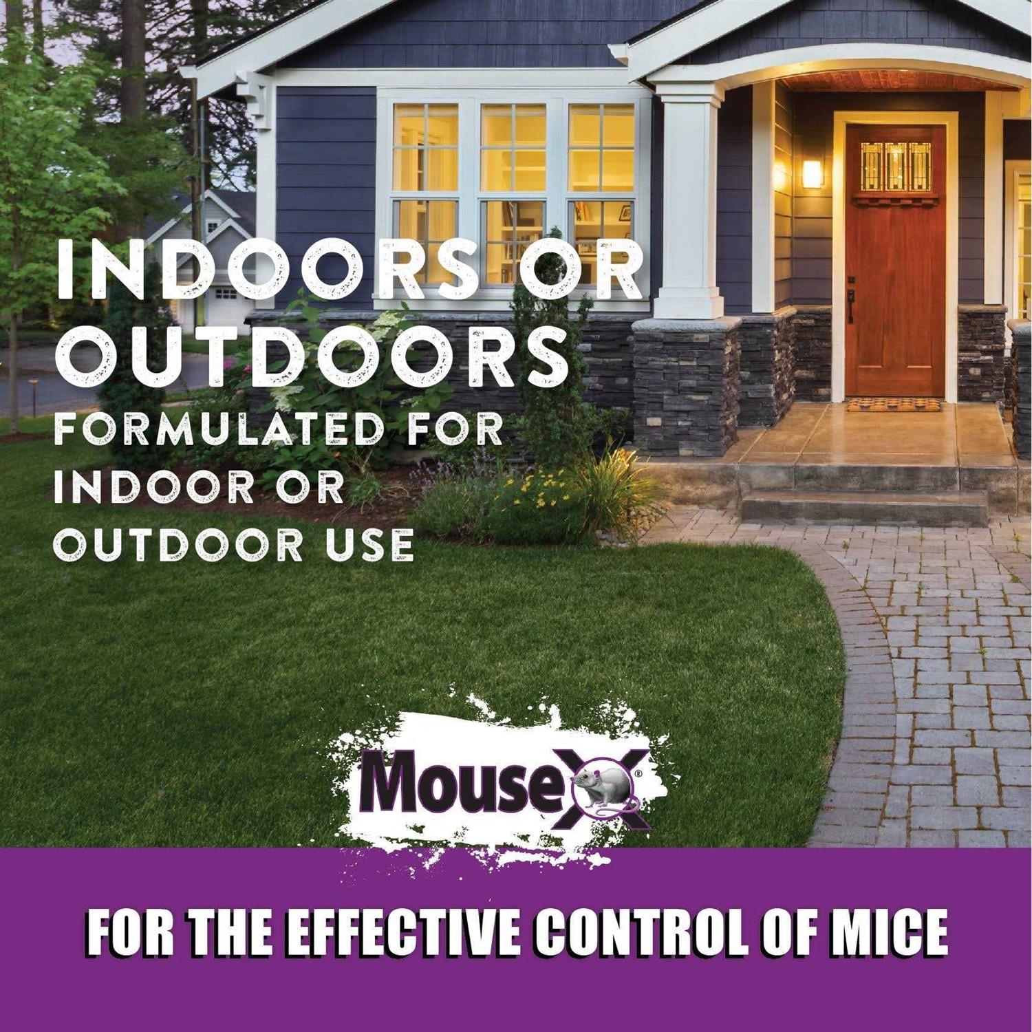 EcoClear Products 620200-6D Mousex All-Natural Non-Toxic Humane Mouse Killer PEL - Image 2