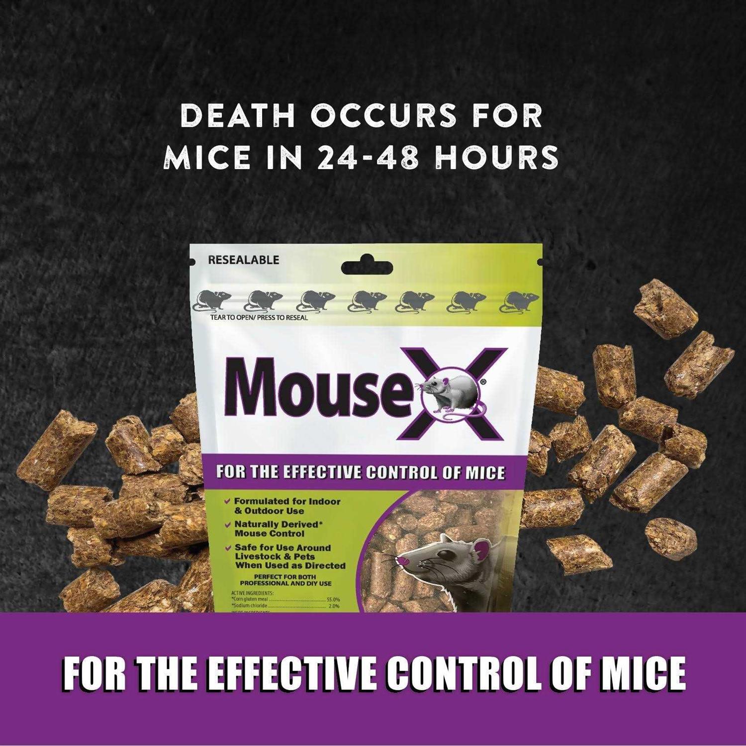 EcoClear Products 620200-6D Mousex All-Natural Non-Toxic Humane Mouse Killer PEL - Image 3