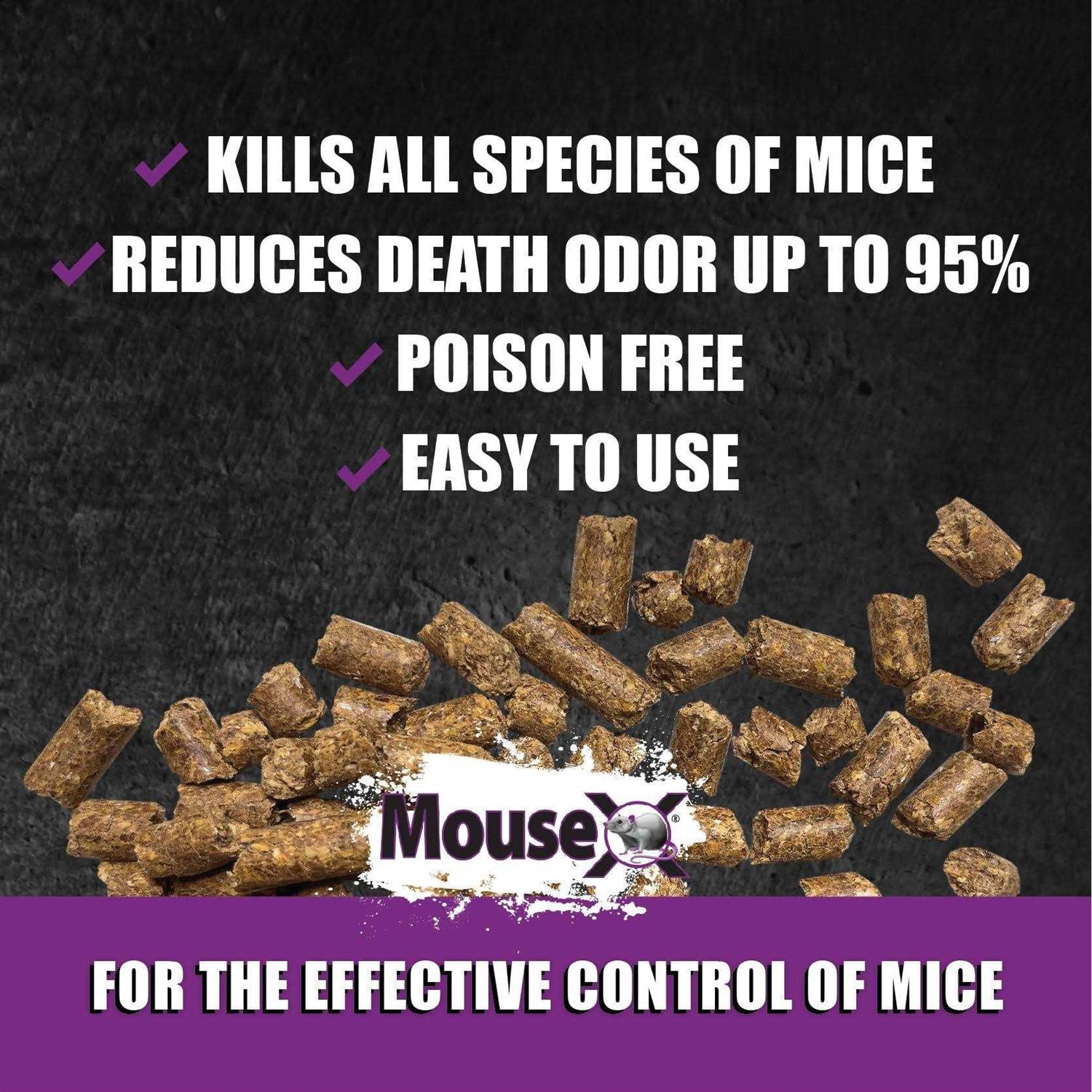 EcoClear Products 620200-6D Mousex All-Natural Non-Toxic Humane Mouse Killer PEL - Image 4
