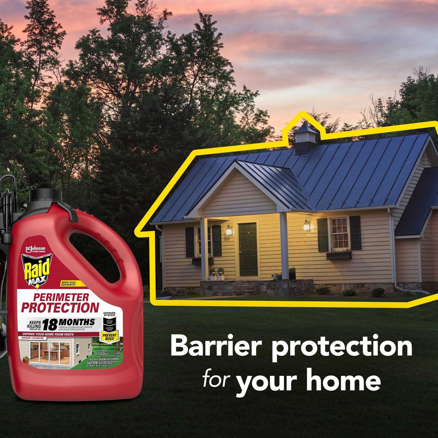 Raid Max Perimeter Protection - Image 2