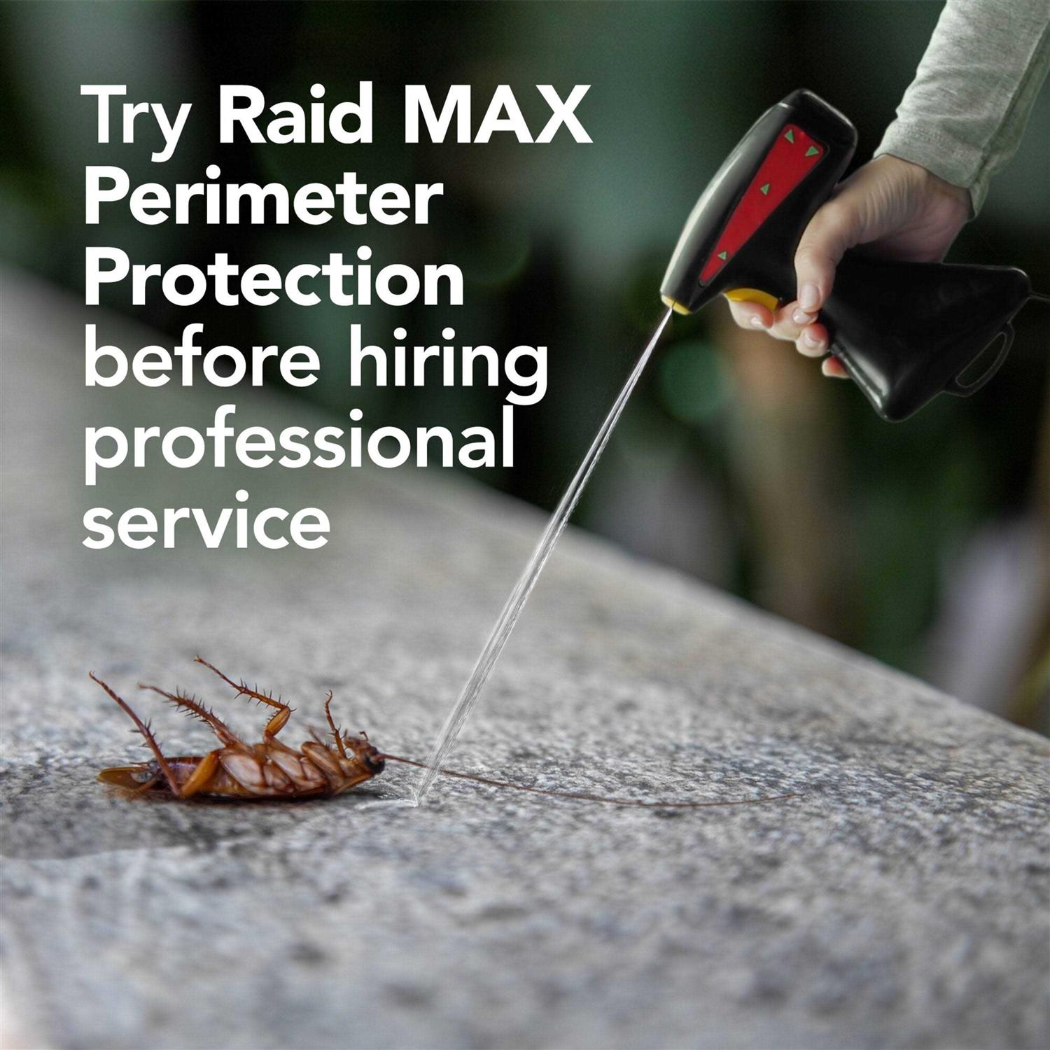 Raid Max Perimeter Protection - Image 3