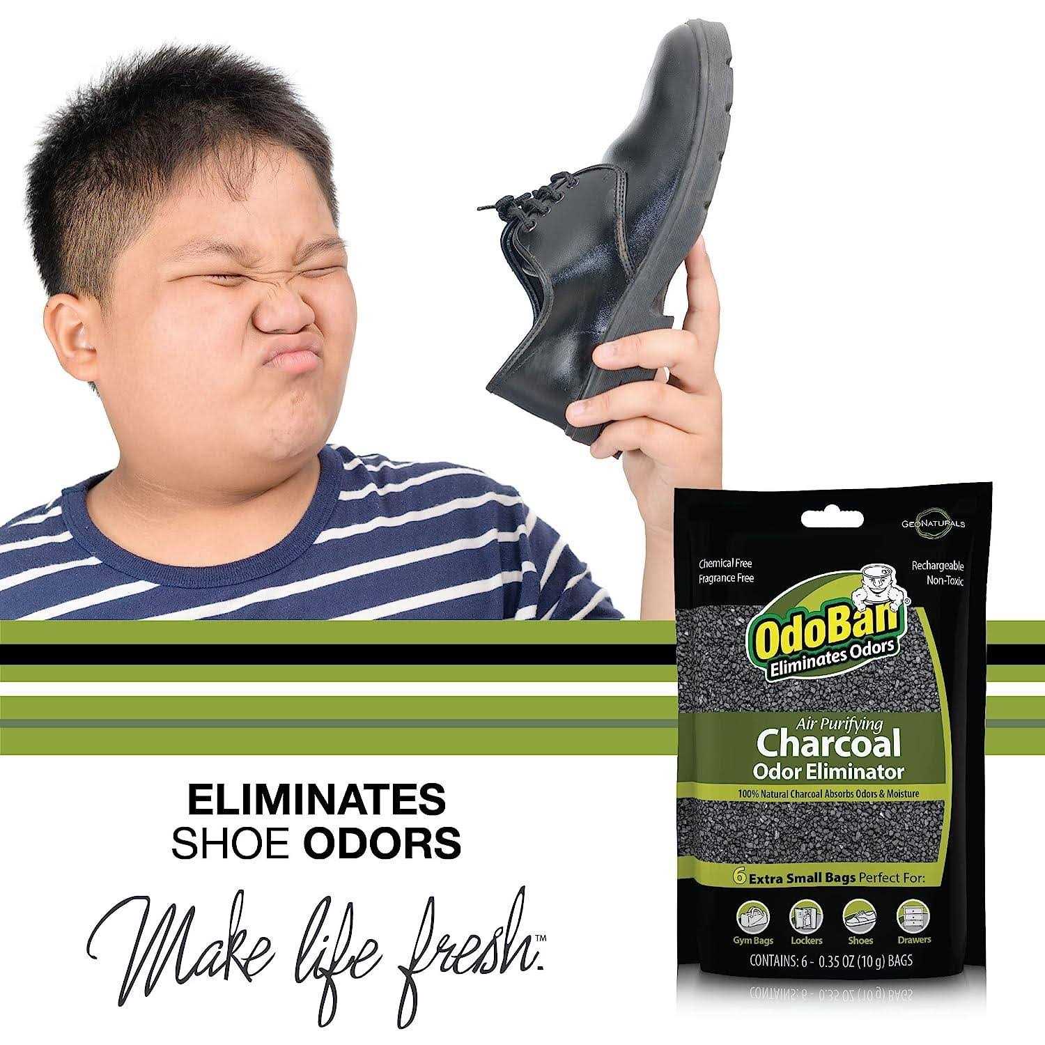 OdoBan Air Purifying Charcoal Natural Odor Eliminator Non-Toxic Formula - Image 5