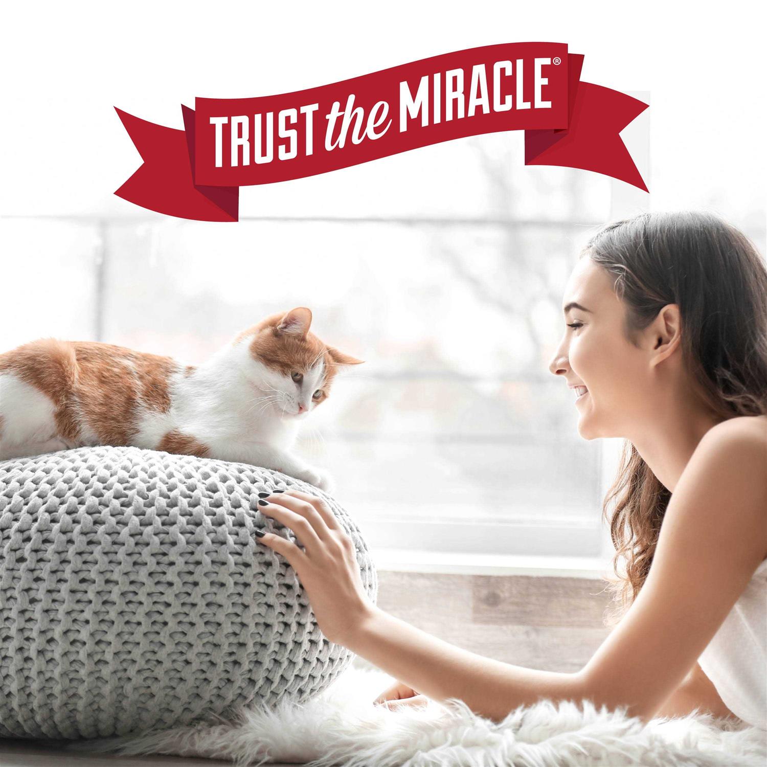 Nature's Miracle Stain Odor Remover - Image 5