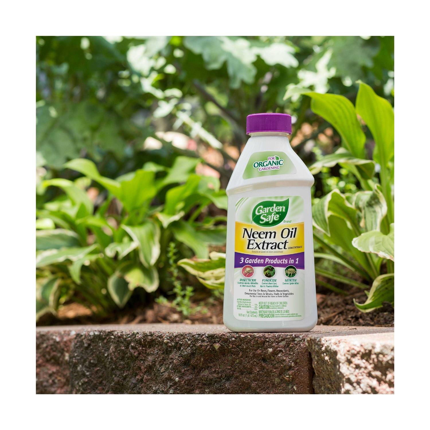 Garden Safe Neem Oil Extract Concentrate-10 oz - Image 4