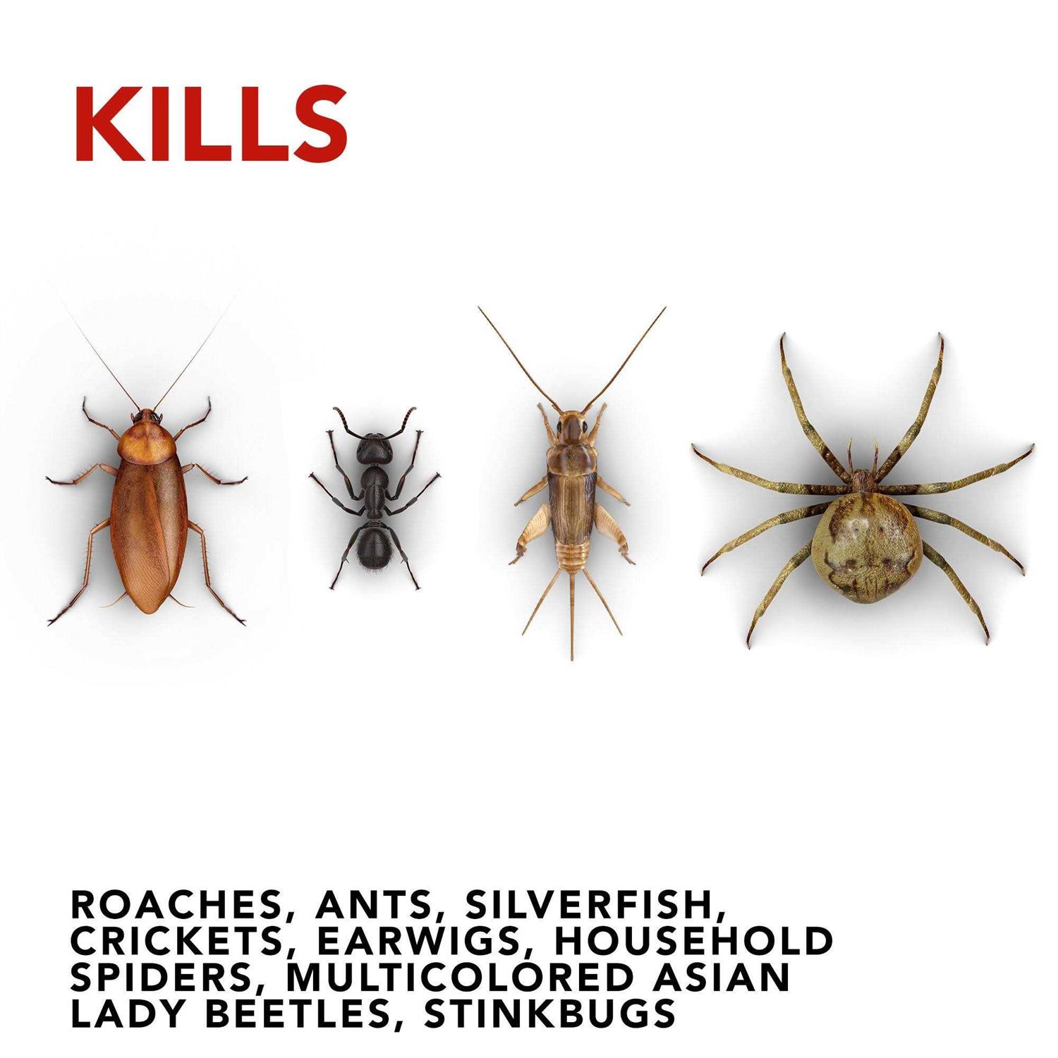 Raid Max Ant & Roach Killer - Image 2