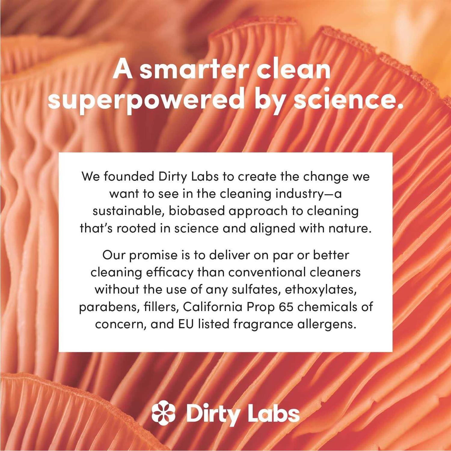 Dirty Labs Scent Bio Liquid Laundry Detergent - Image 2