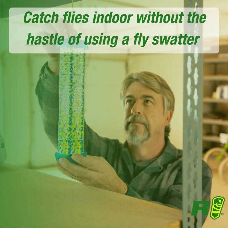 RESCUE! Fly TrapStik Indoor Hanging Fly Trap - Image 5