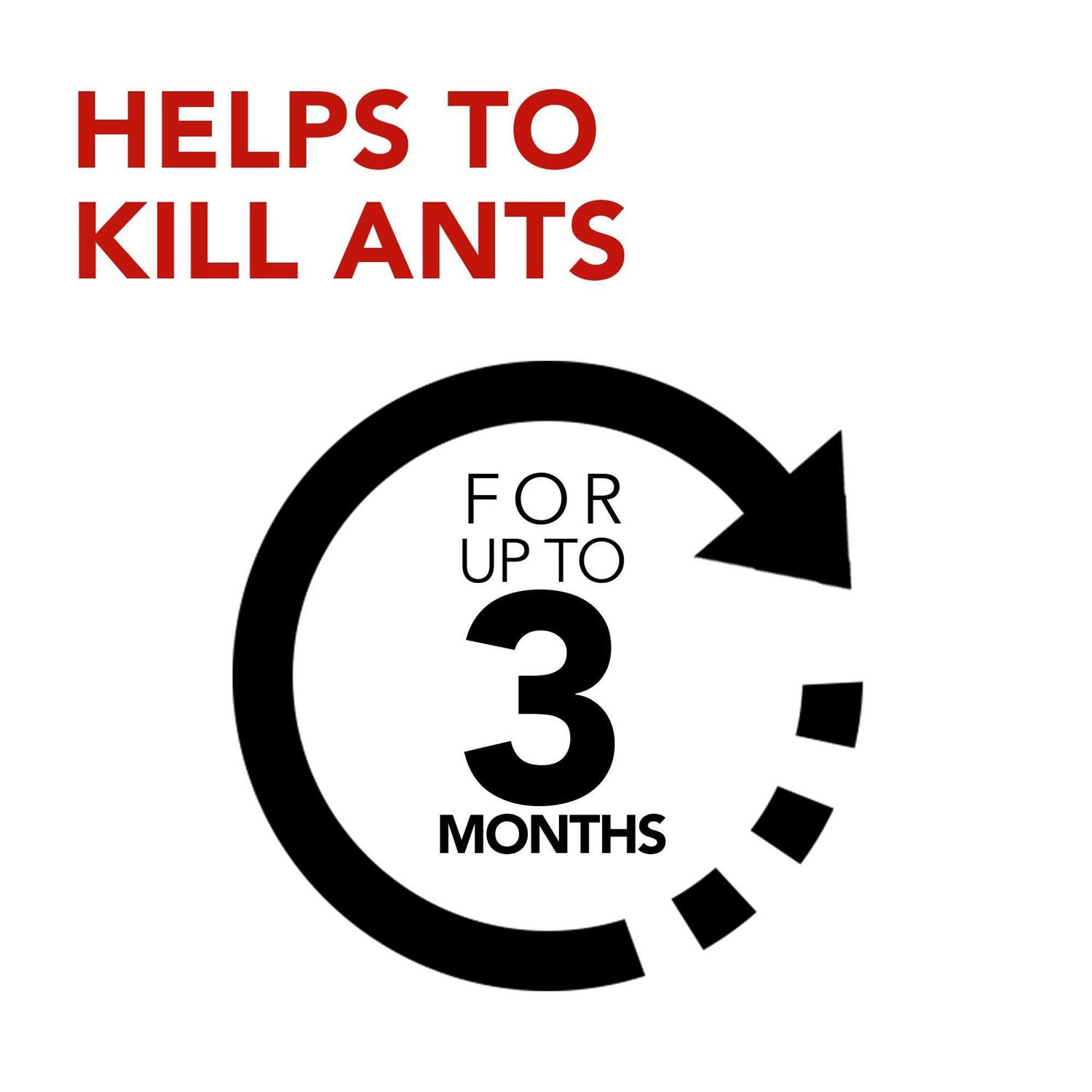 Raid Ant Baits - Image 4