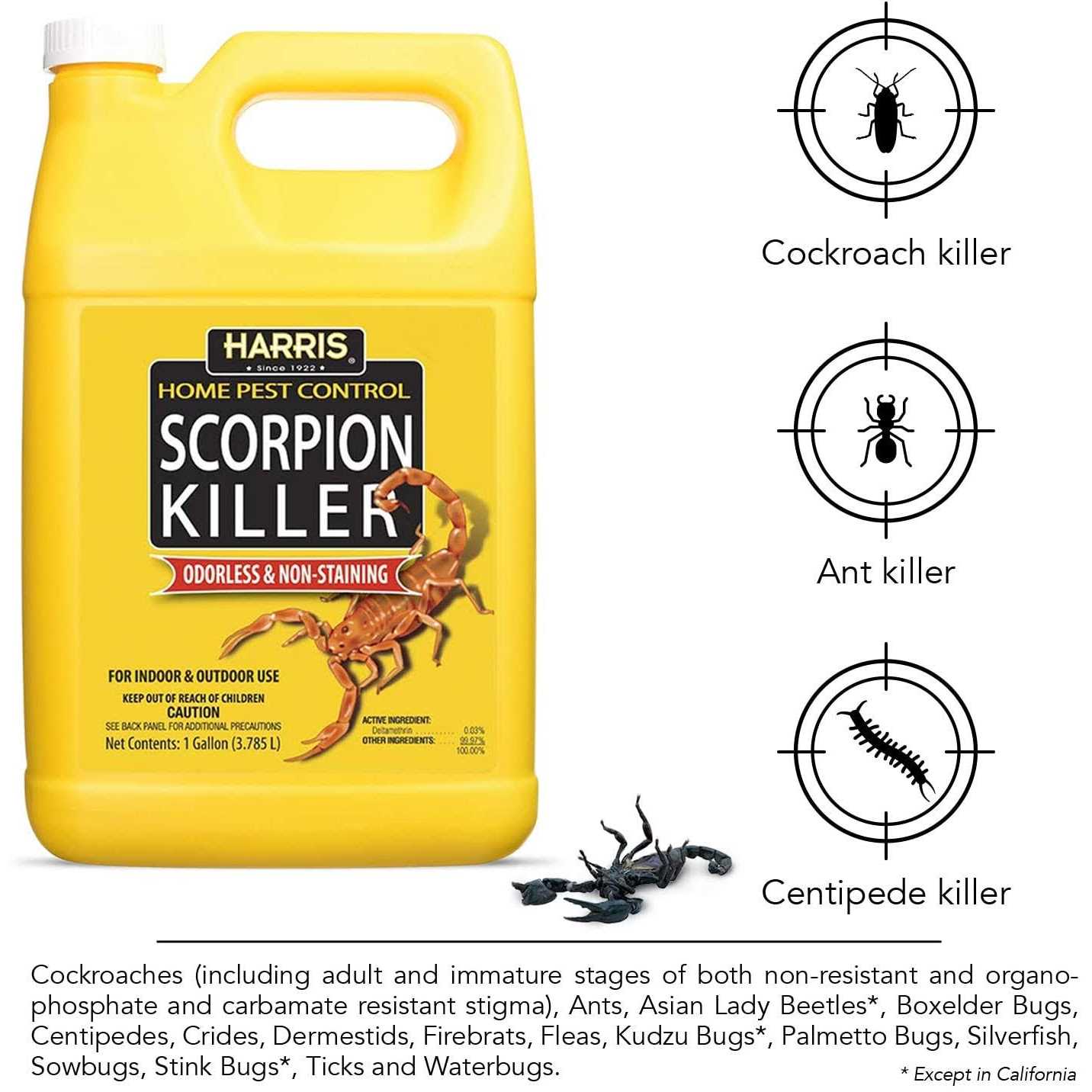 Harris Scorpion Killer Gallon Spray - Image 5