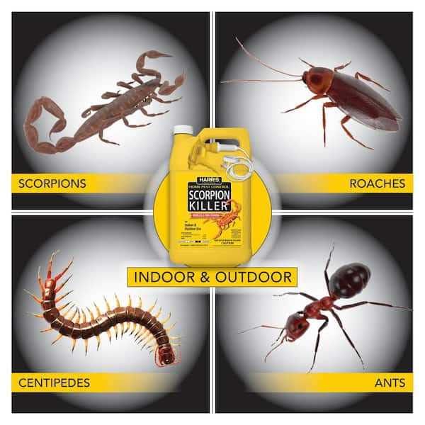Harris Scorpion Killer Gallon Spray - Image 2
