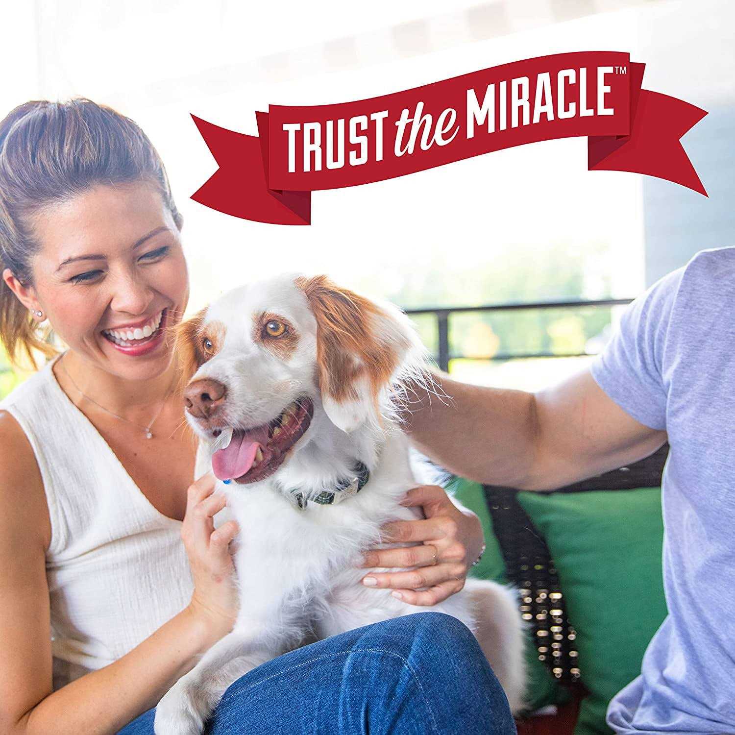 Pioneer Pet Nature's Miracle Urine Destroyer Plus for Dogs with AccuShot Sprayer - Image 5