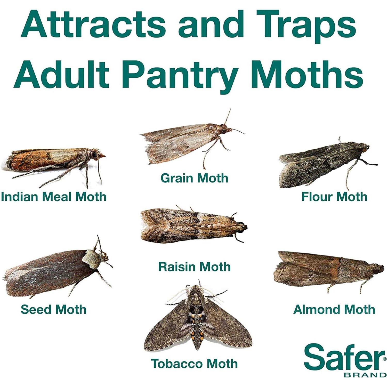 Safer Pantry Pest Trap - Image 4
