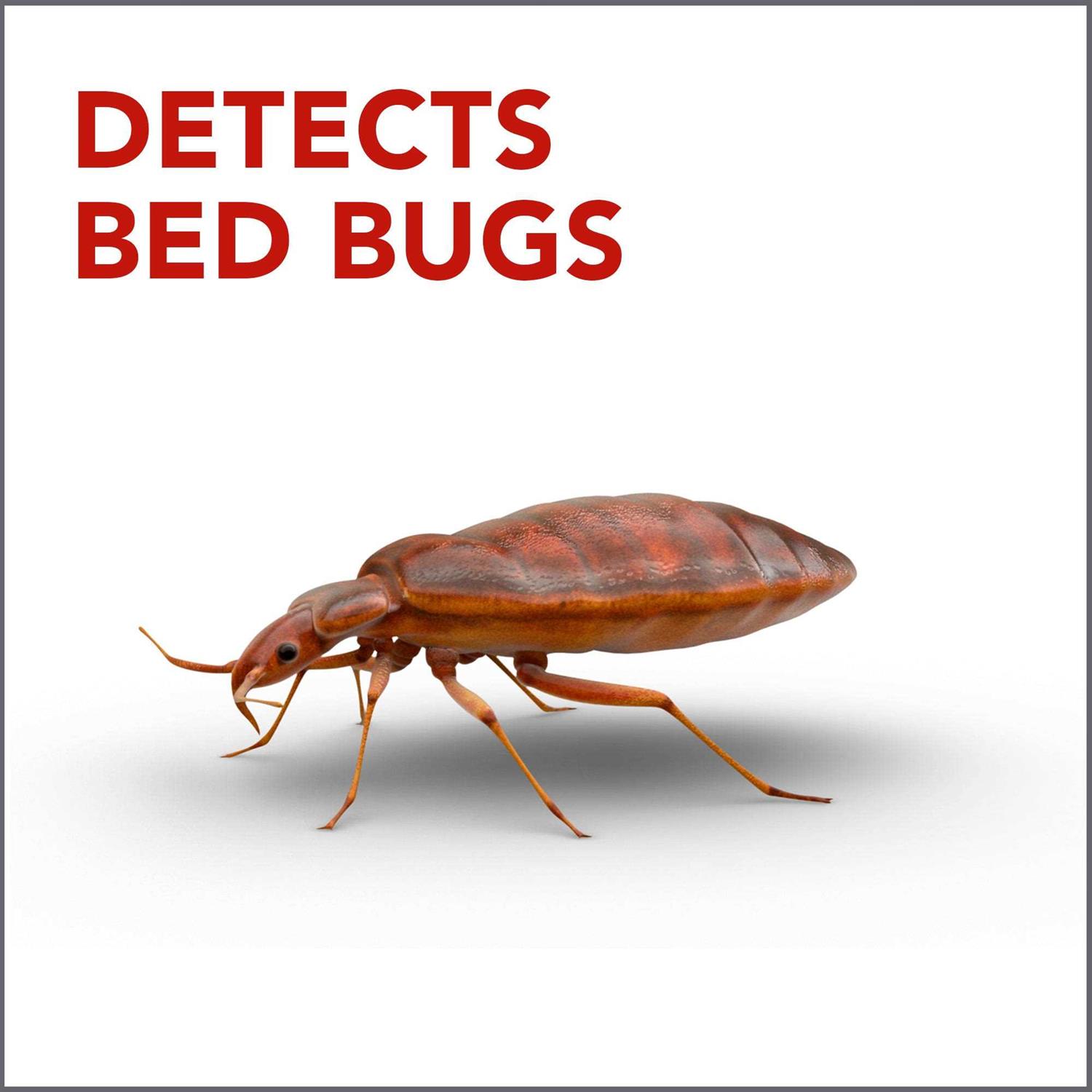Raid Bed Bug Detector and Trap - Image 2