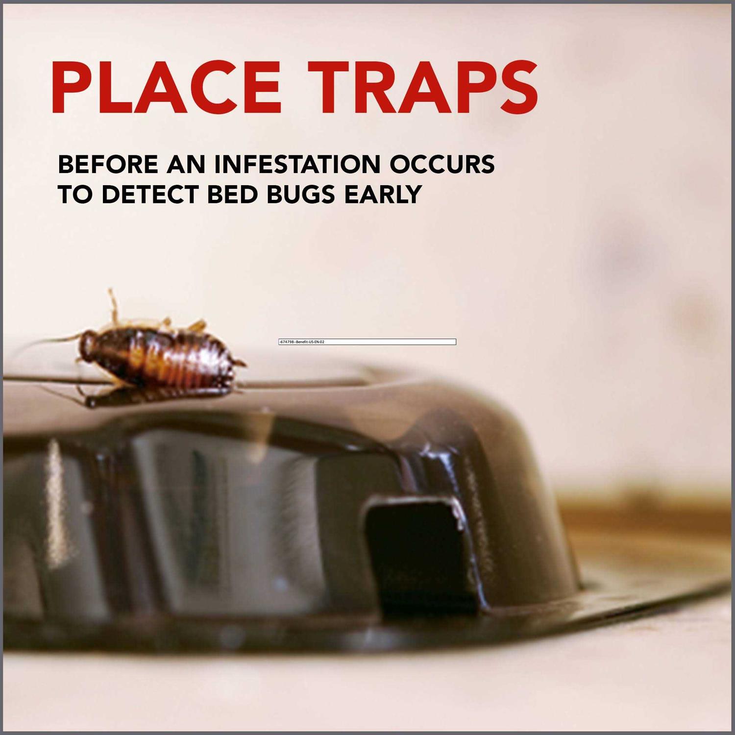 Raid Bed Bug Detector and Trap - Image 4