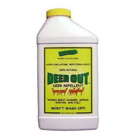 Deer Out Concentrate Deer Repellent - Image 4