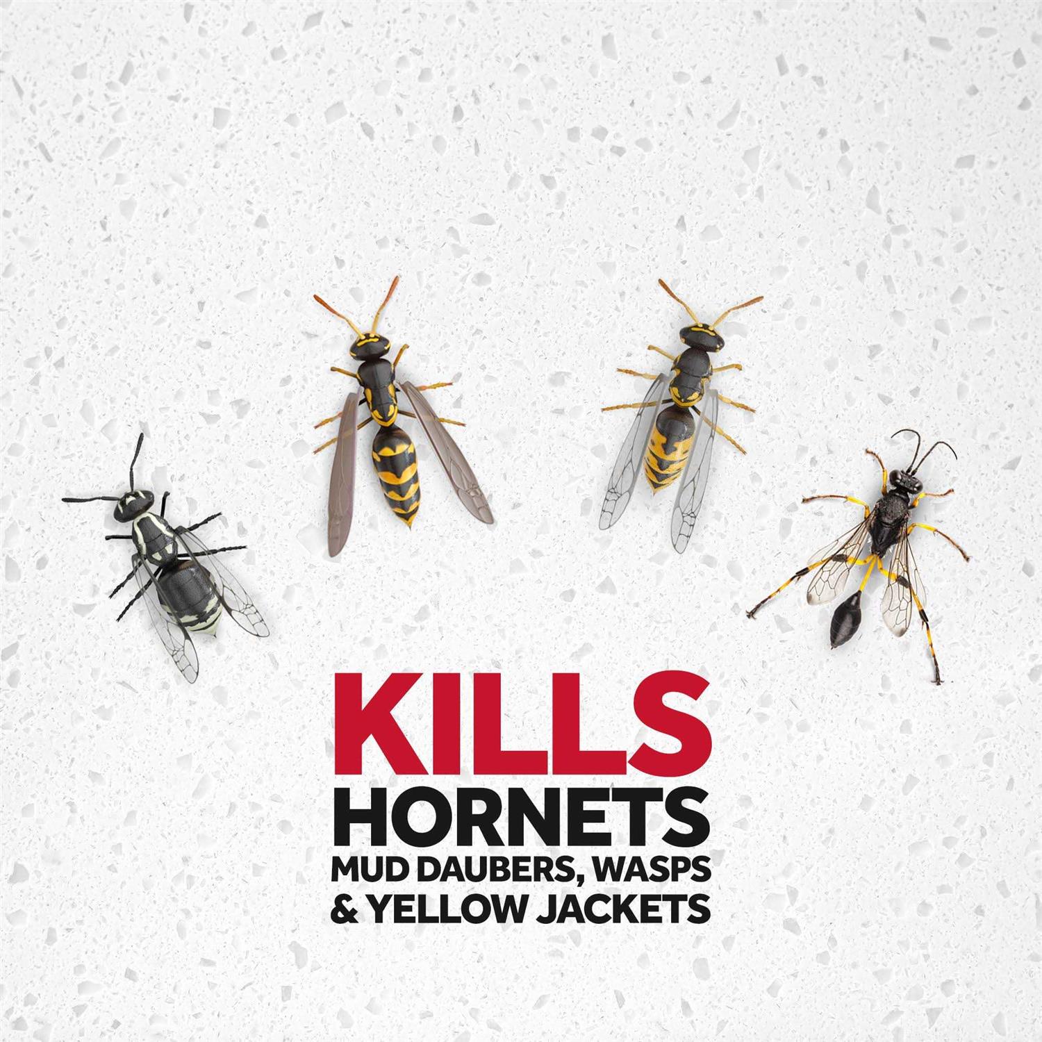 Raid Wasp Hornet Killer - Image 4
