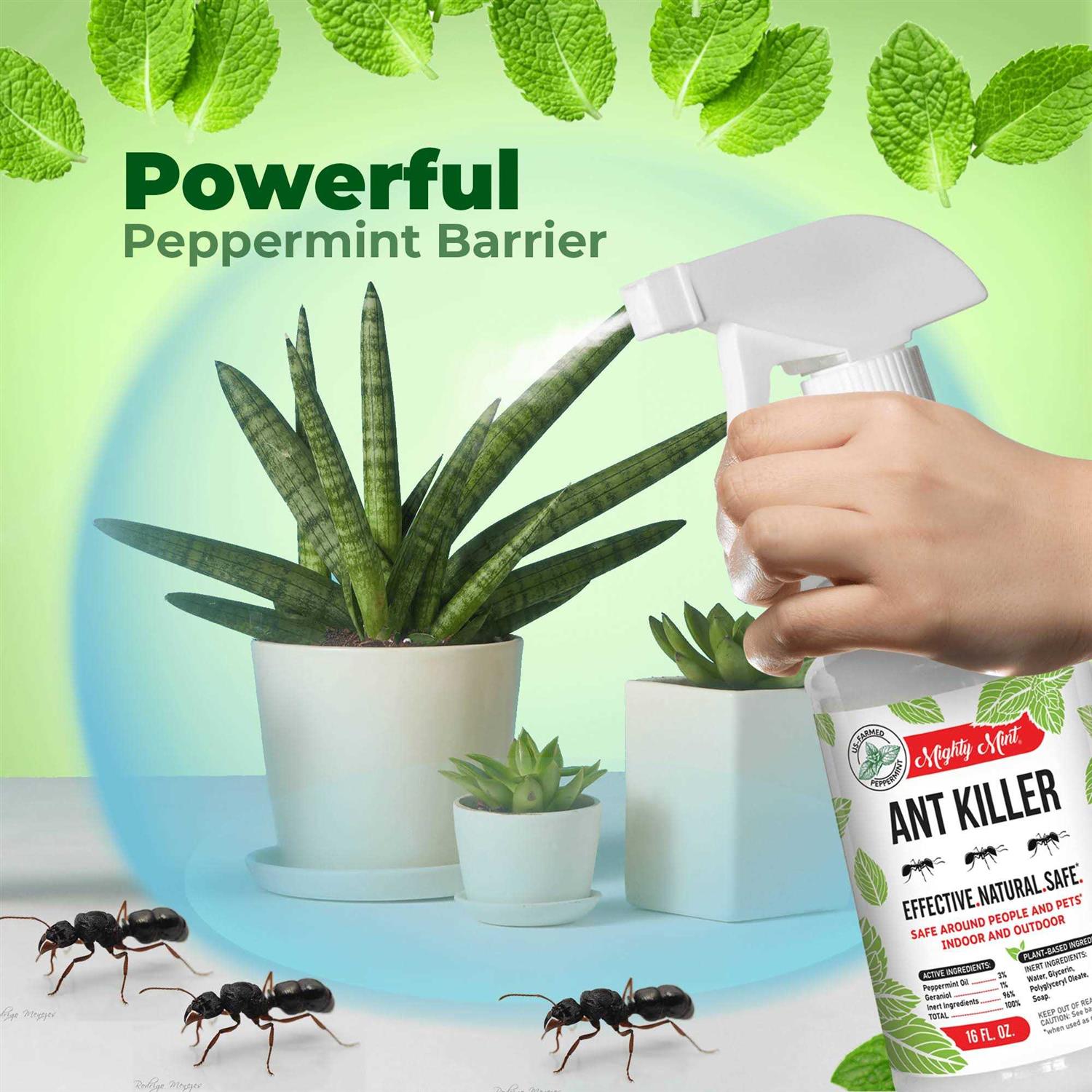 Mighty Mint 16 oz. Ant Killer Peppermint Spray - Image 2