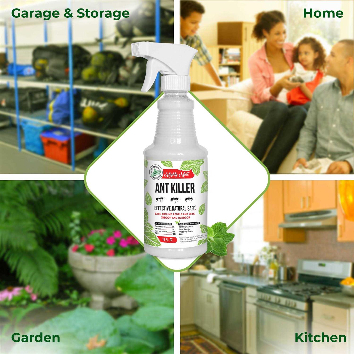 Mighty Mint 16 oz. Ant Killer Peppermint Spray - Image 5