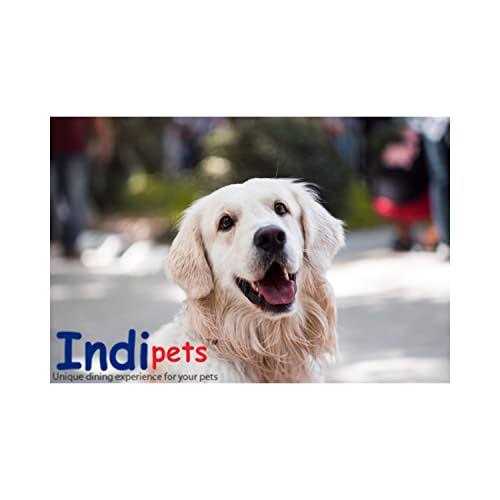 Indipets Flat-Sided Stainless Steel Pail - Image 5
