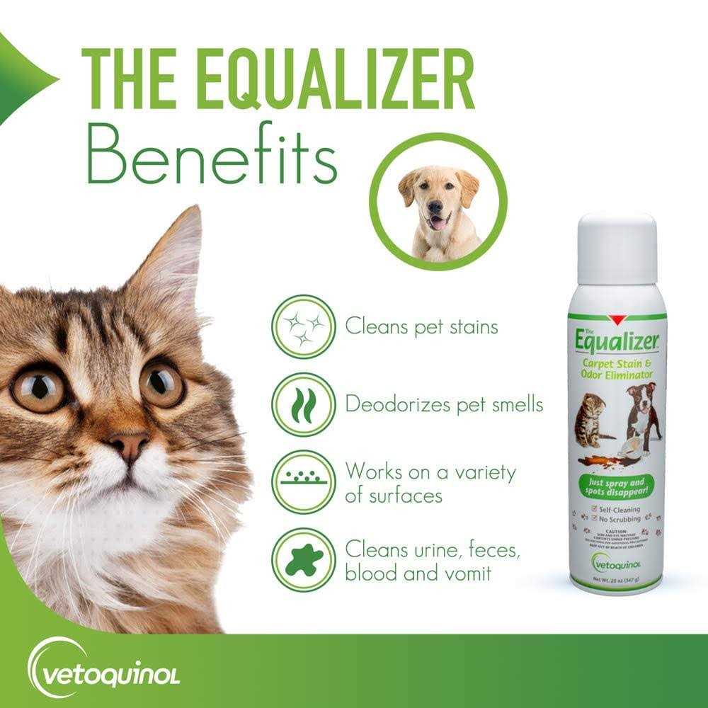 Equalizer Carpet Stain & Odor Eliminator - Image 2