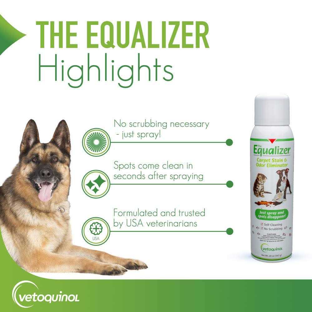 Equalizer Carpet Stain & Odor Eliminator - Image 5