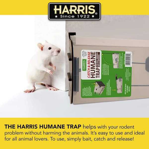 Harris Catch and Release Humane Squirrel and Rodent Trap - Image 3