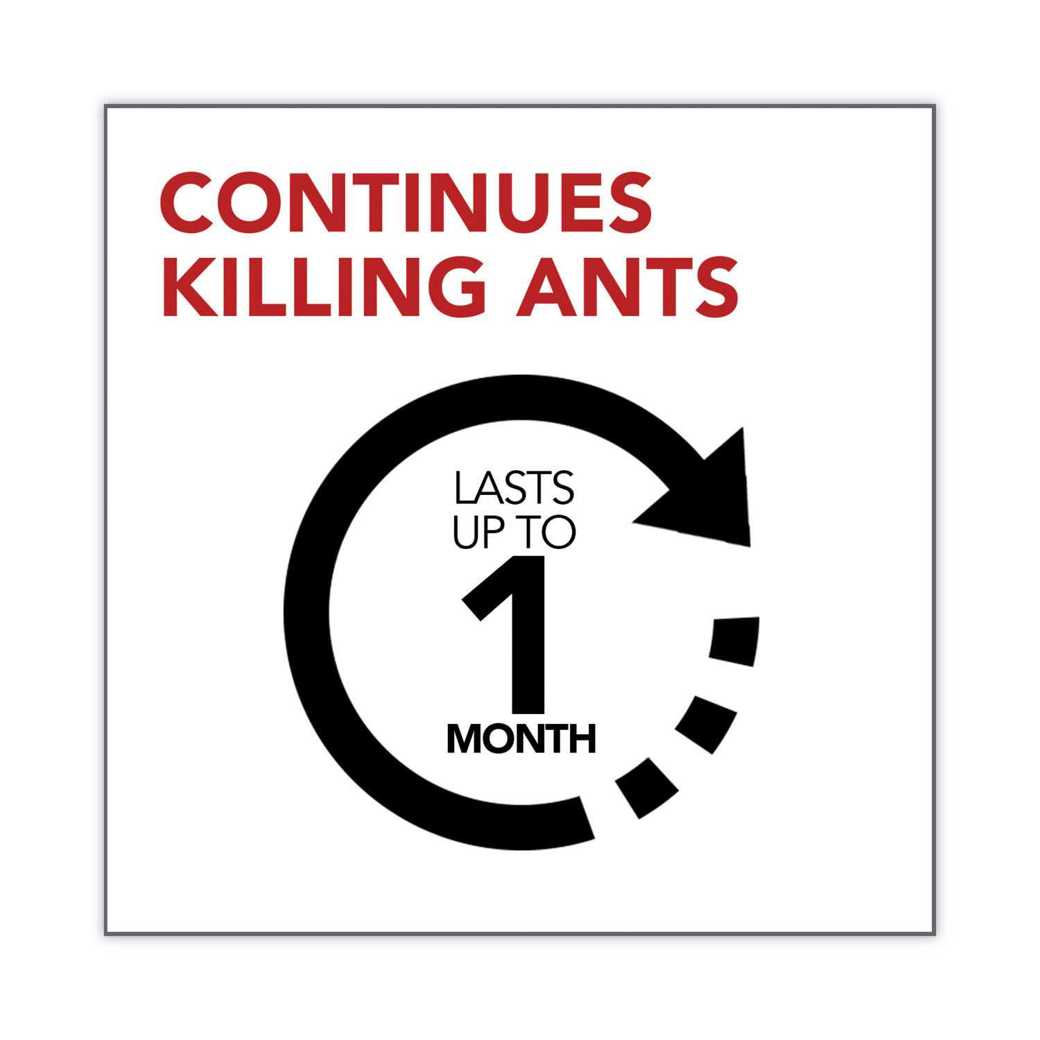 Raid Ant Gel - Image 5