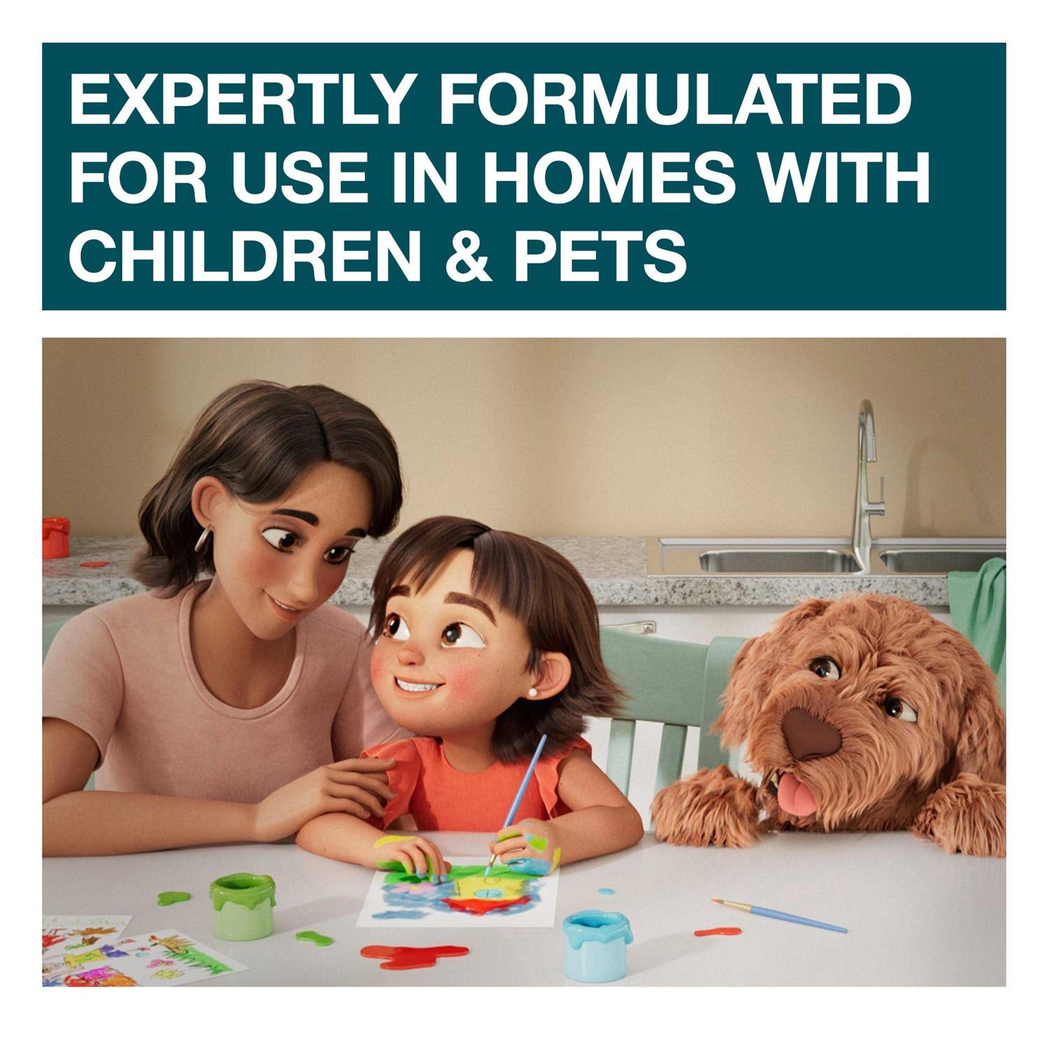 Family Guard Citrus Disinfectant Cleaner - Image 4
