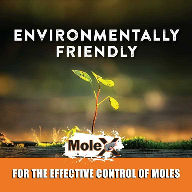 MoleX Mole Killer 8 oz - Image 4