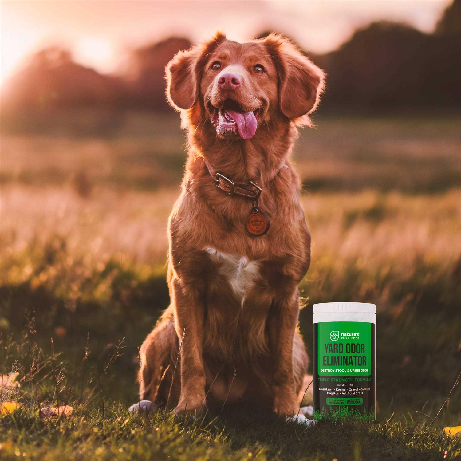 Nature's Pure Edge Yard Pet Odor Eliminator - Image 2