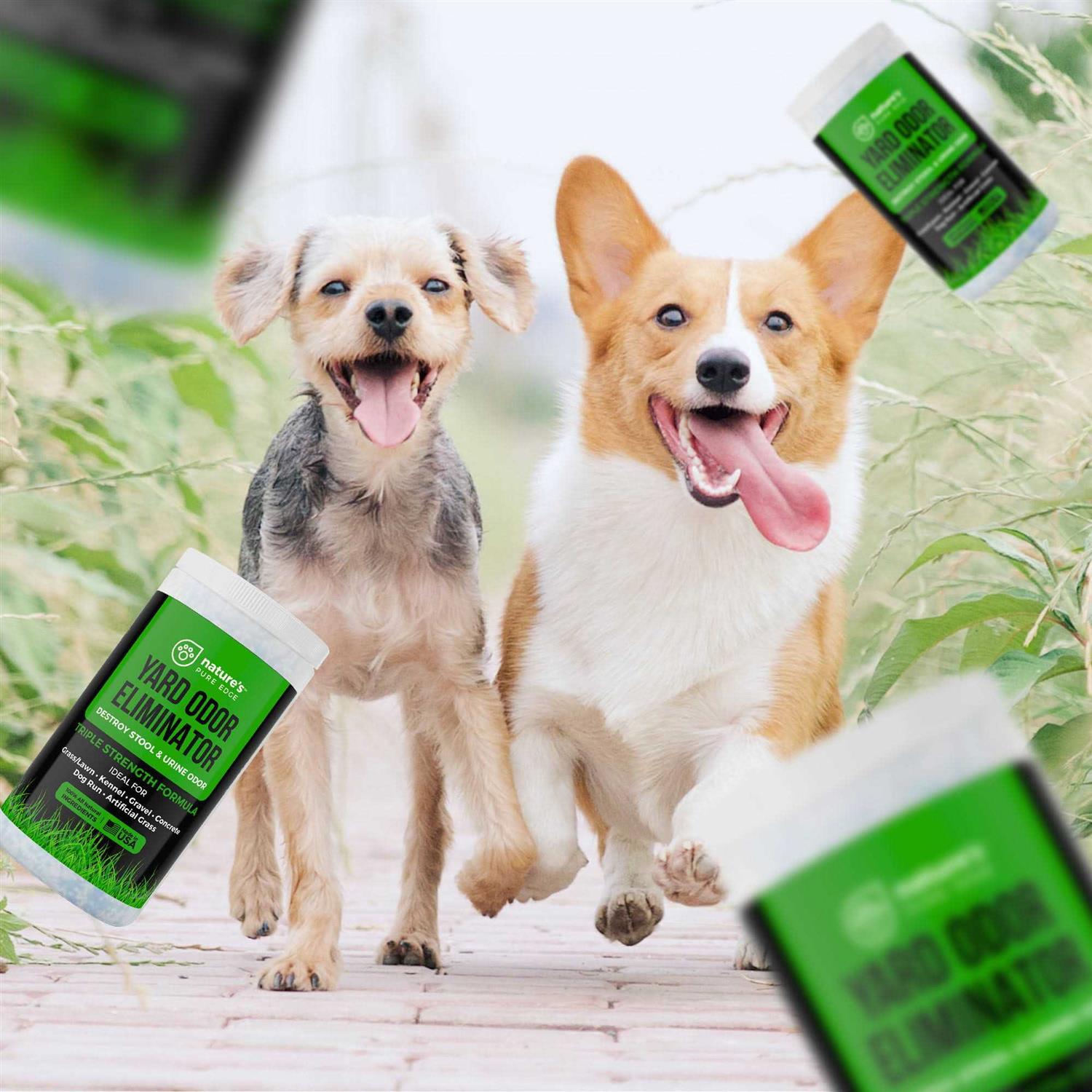 Nature's Pure Edge Yard Pet Odor Eliminator - Image 3