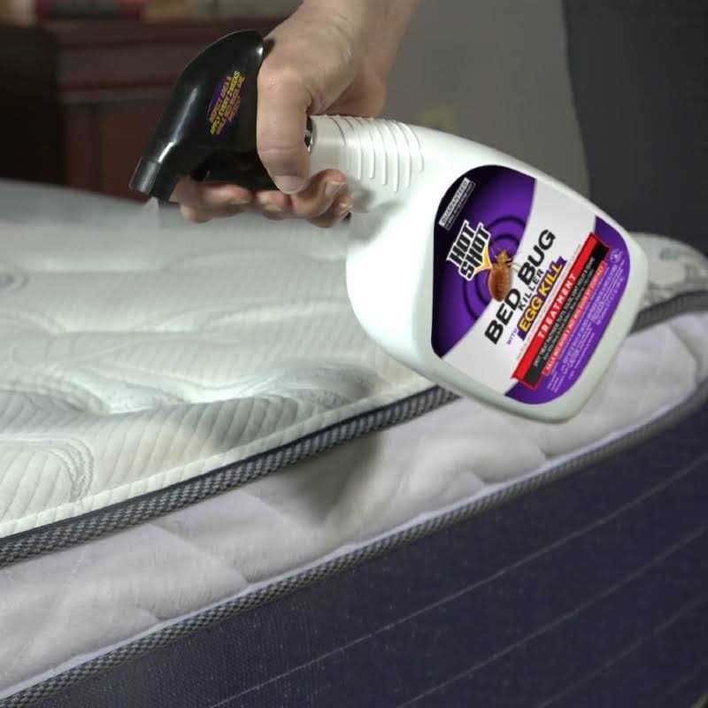 Hot Shot Bed Bug Killer 32 Oz - Image 3