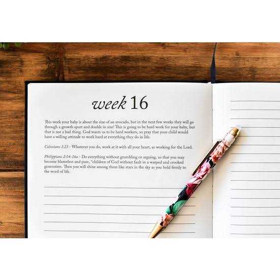 Duncan & Stone Dear Baby A Pregnancy Prayer Journal - Image 5