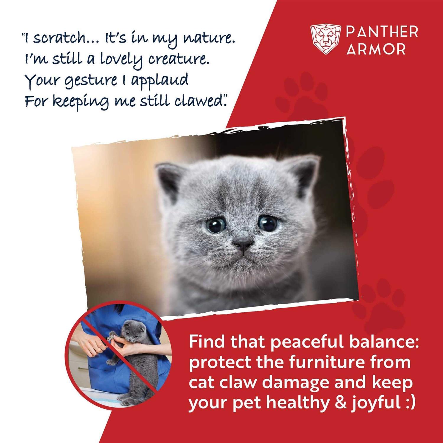 Panther Armor Cat Scratch Furniture Protector for Sofa Couch Double Sided Anti Scratching - Image 4