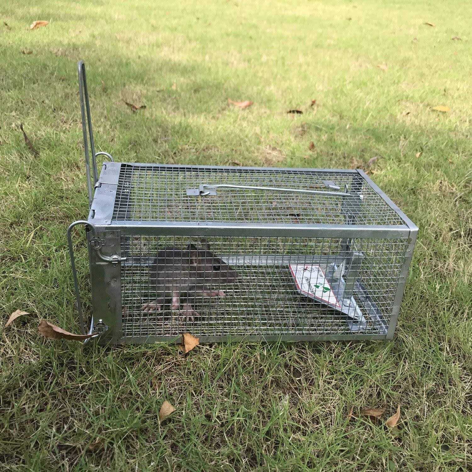 Kensizer Humane Trap That Work for Rat Chipmunk and - Image 2