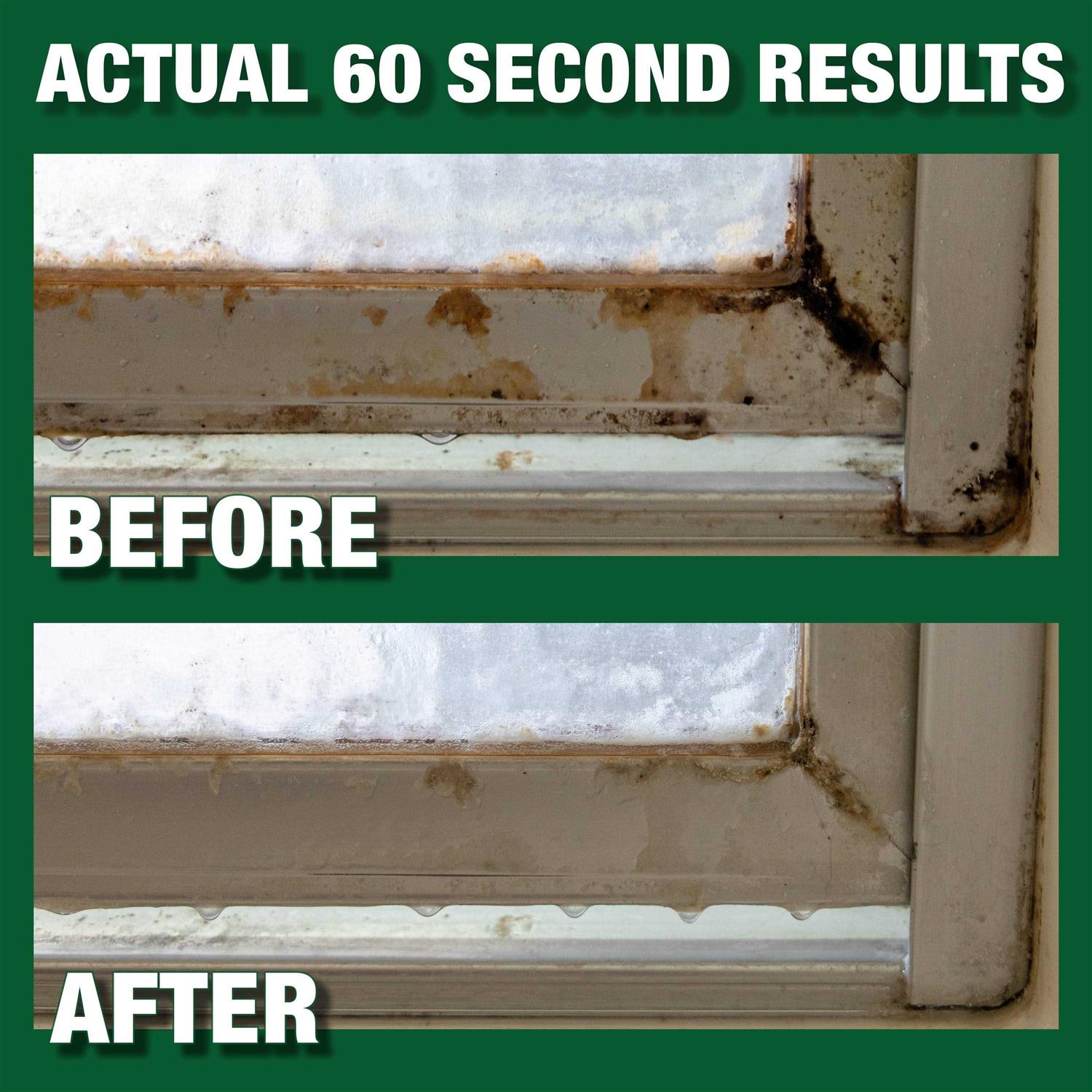 Mold Armor Rapid Clean Remediation - Image 2