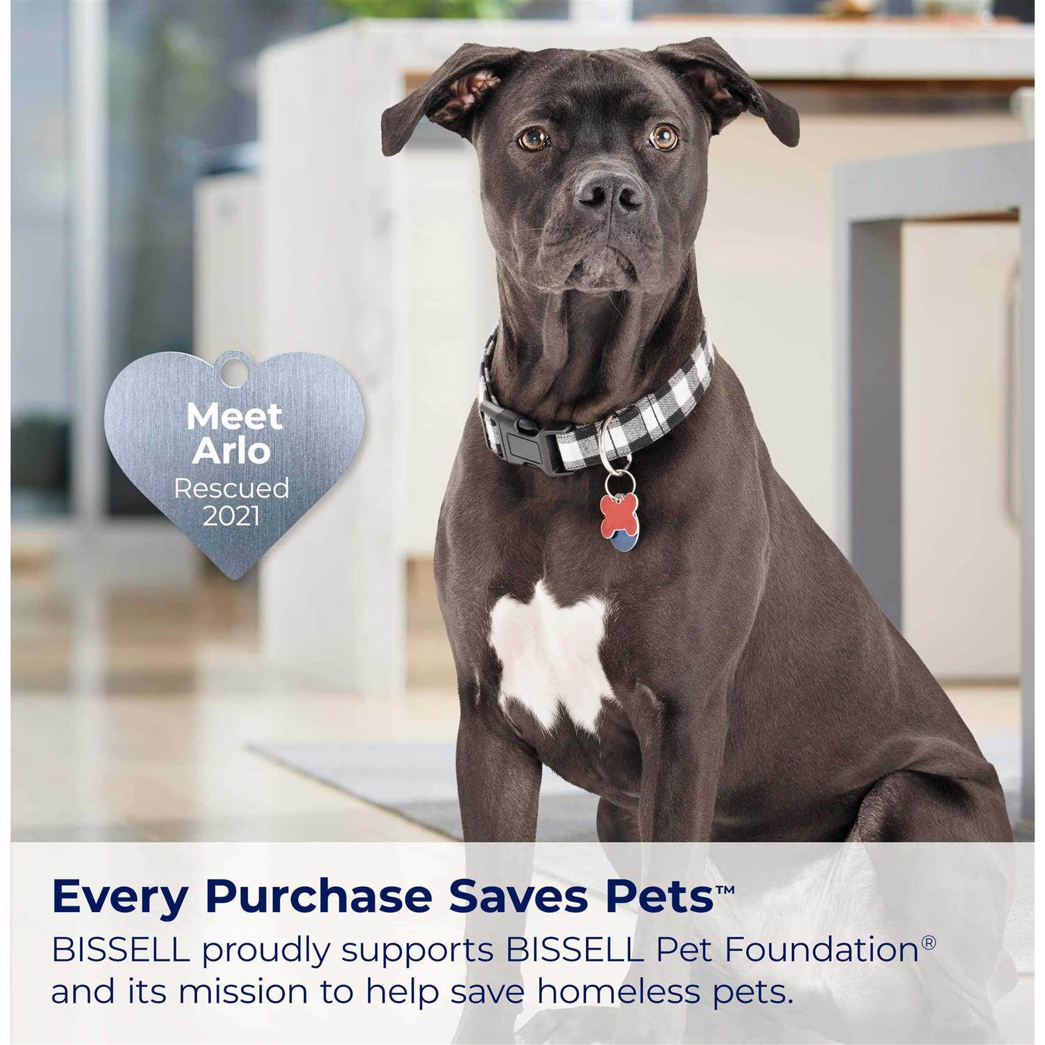 BISSELL Little Green Cordless Portable Carpet Cleaner 3682 - Image 3