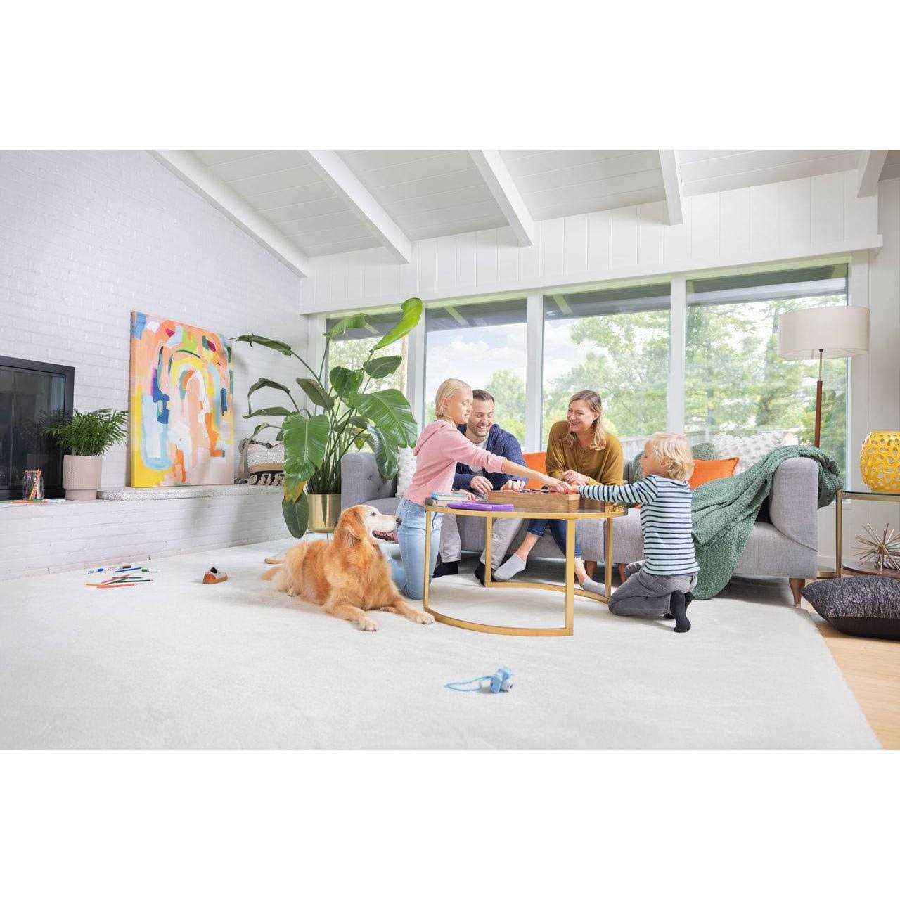 Bissell Revolution HydroSteam Pet Carpet Cleaner - Image 3