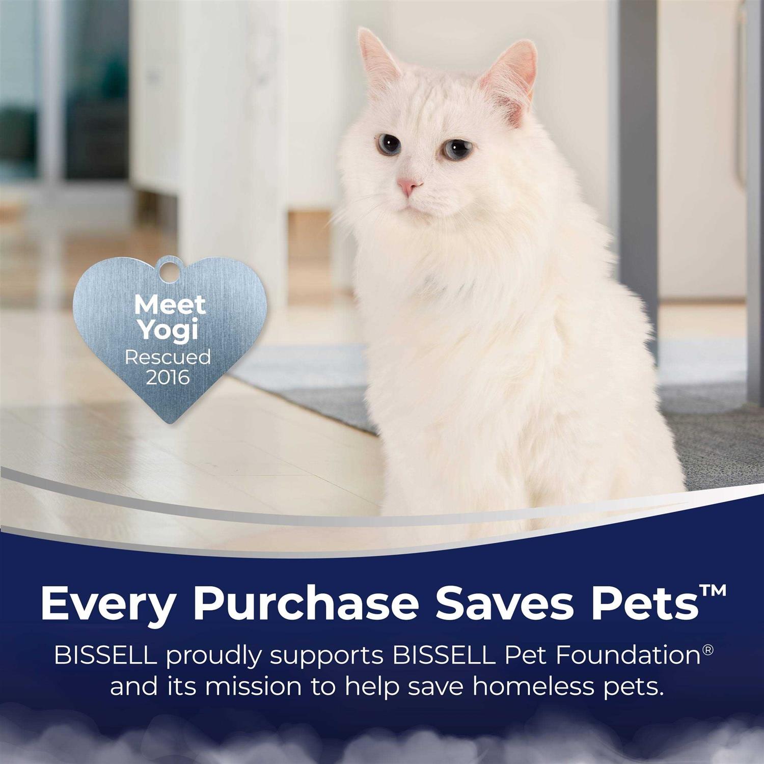 Bissell CrossWave HydroSteam Wet Dry Vacuum 3513 - Image 3