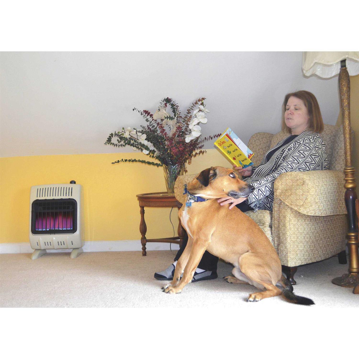 Mr. Heater 10,000 BTU Vent Free Blue Flame Propane Heater - Image 5